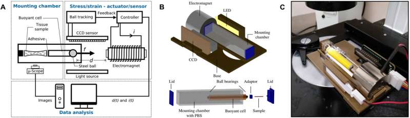 Characterizing soft biological tissue with new biomechanical testing methods in the lab