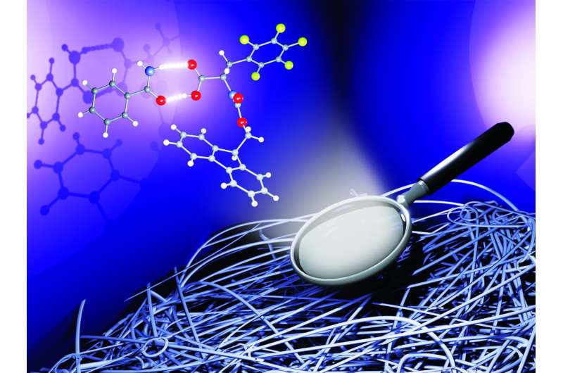 Chemistry and Crystals: Politecnico di Milano's hydrogel study on the cover of Chemistry