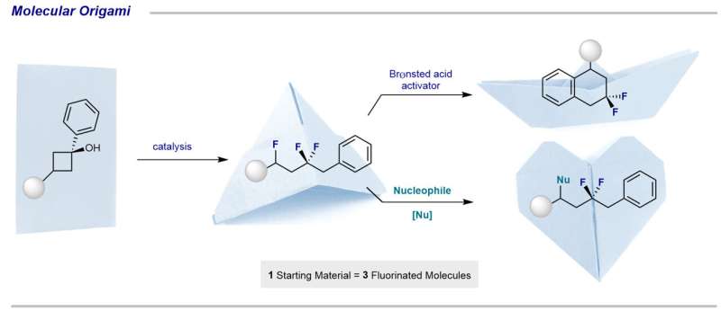 Chemists create a reaction cascade to create fluorinated molecules