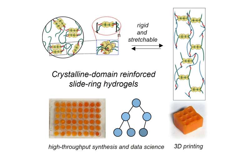 Chemists develop unique design for tough but stretchable gels