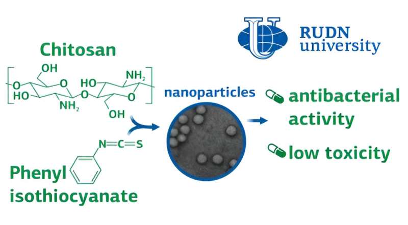 Chemists obtain derivatives of the natural polymer chitosan, which outpaces existing antibiotics 