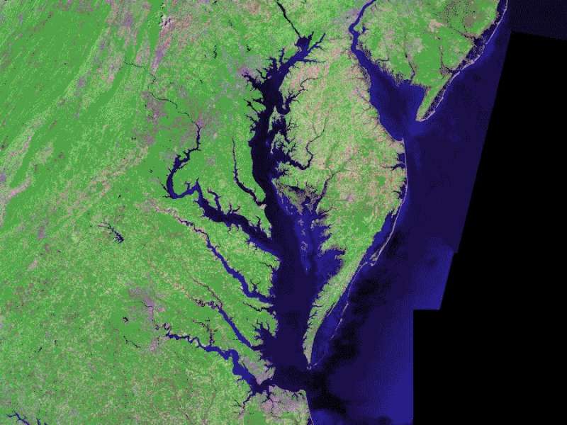Chesapeake Bay's dead zone predicted to be 33% smaller than long-term average