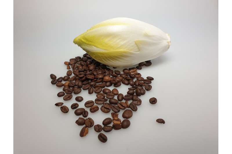 Chicory, substitute and roasted coffee provide new insights into flavor perception mechanisms