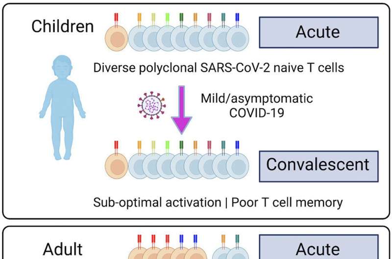 Children's immune response to COVID is fast but doesn't last