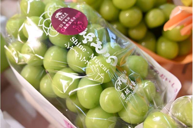 China-grown Shine Muscat grapes are widely available on sale in Hong Kong