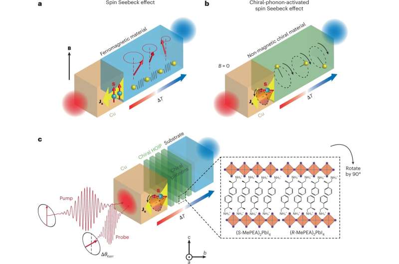 Chiral phonons create spin current without needing magnetic materials