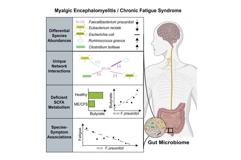 Chronic fatigue syndrome is associated with distinct changes in the microbiome