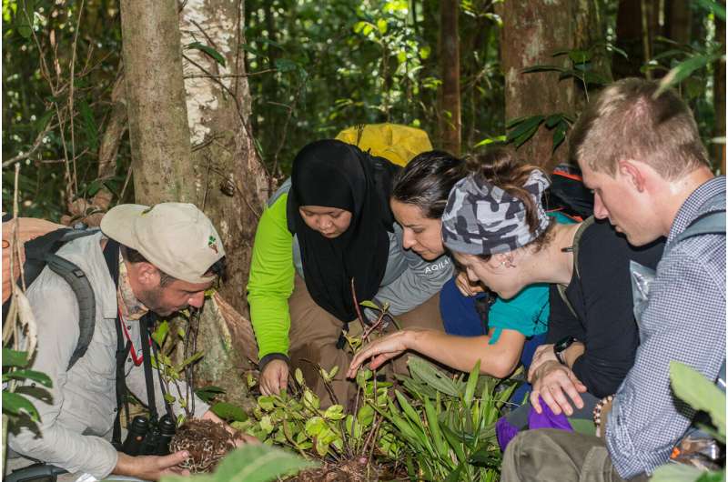 Citizen scientists discover new 'snug' in Brunei forest, name it after retiring field centre manager