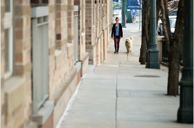 city dog walk