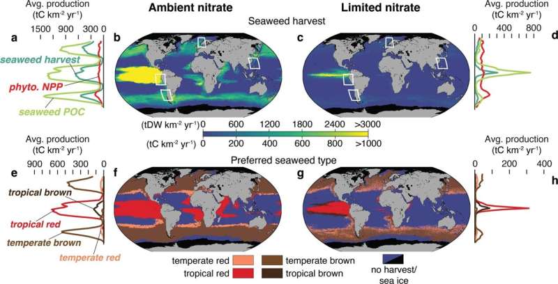 Climate change: Challenges of capturing sufficient carbon through large-scale seaweed farming