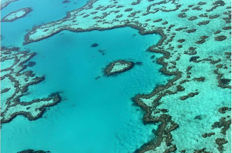 Climate change is damaging the Great Barrier Reef's corals