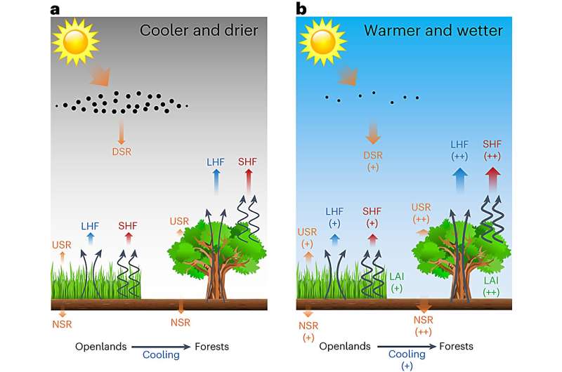 Climate models suggest curbing air pollution helps newly planted trees reduce local temperature