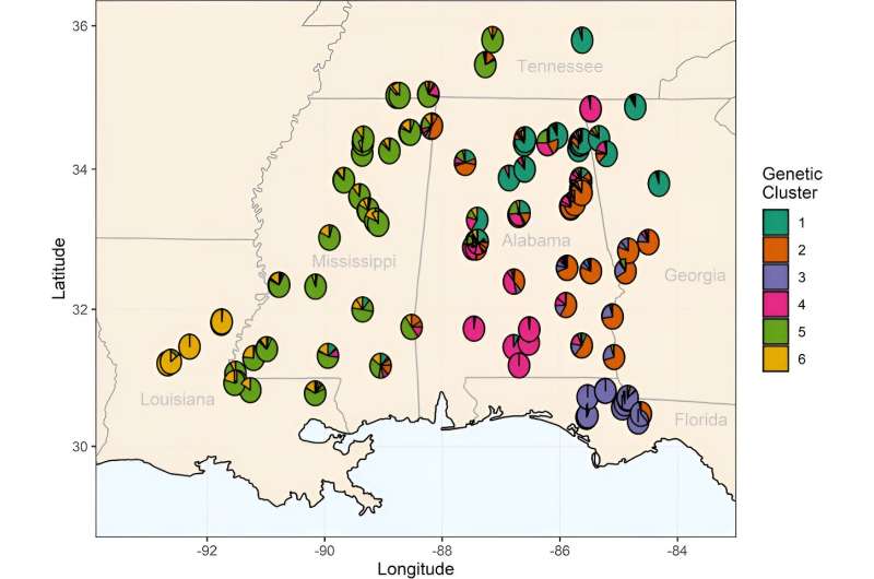 Climate, population impact oakleaf hydrangea genetic diversity