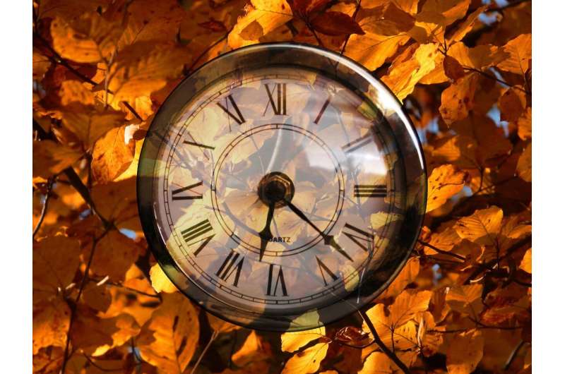 clock leaves