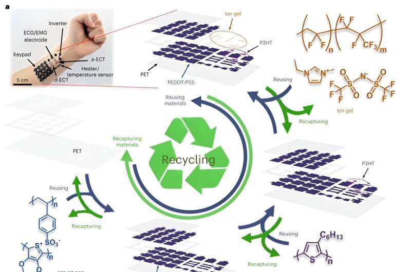 Closed-loop recycling of organic flexible electronic devices paves the way for sustainable wearable electronics