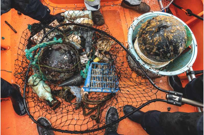 Coastal species persist on high seas on floating plastic debris
