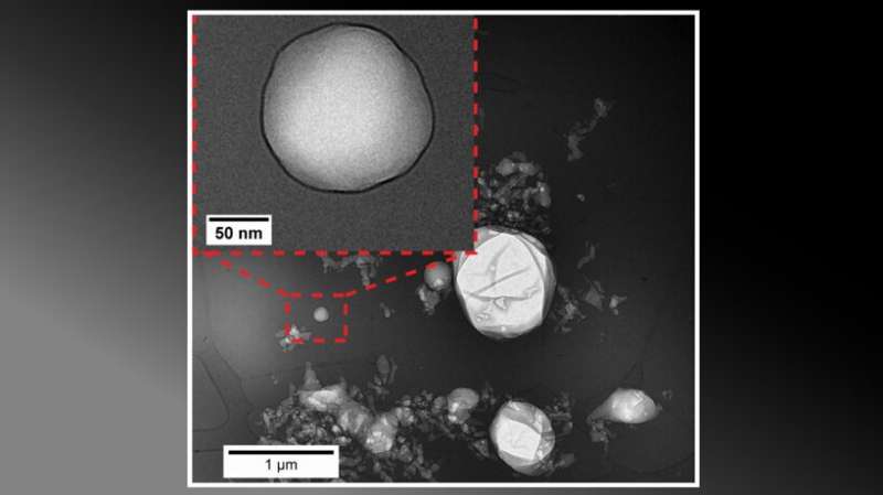 Coating bubbles with protein results in a highly stable contrast agent for medical use