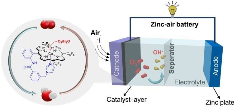 Cobalt(II) porphyrin with a tethered imidazole for efficient oxygen reduction and evolution electrocatalysis