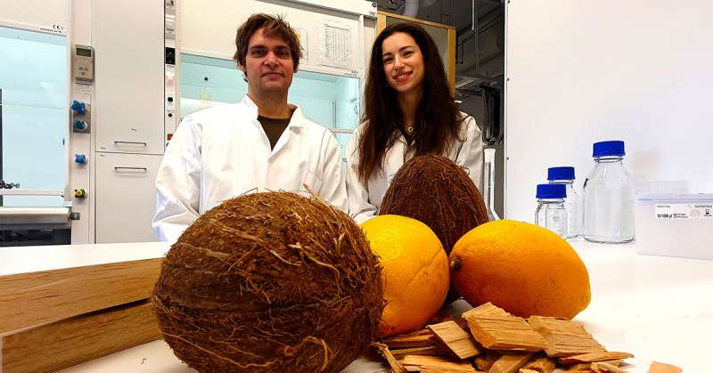 Coconuts and lemons enable a thermal wood for indoor heating and cooling