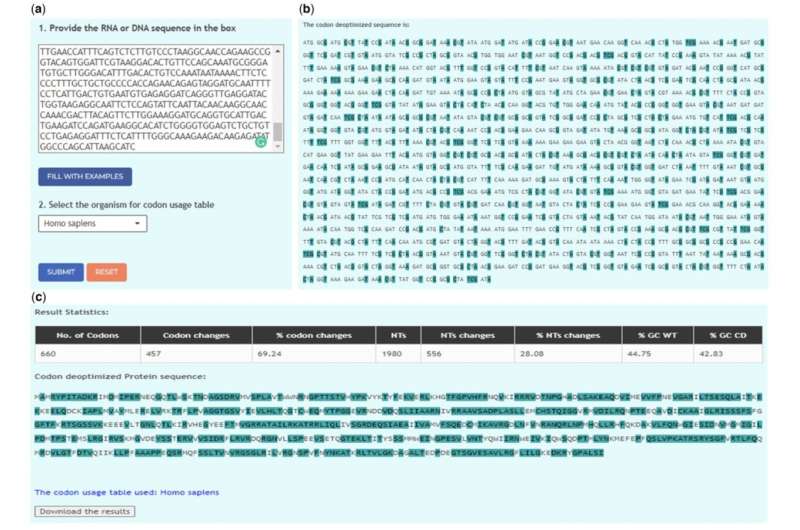 CoDe tool makes vaccine development faster and more accurate