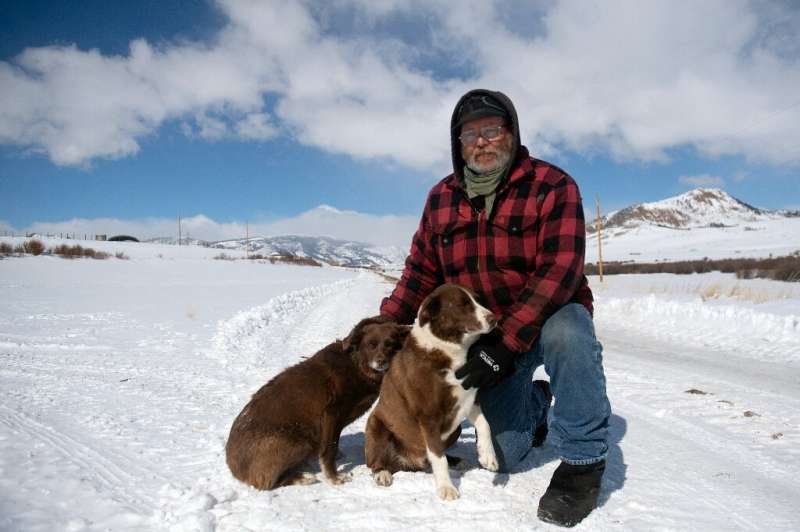 Colorado ranch manager Greg Sykes lost one of his beloved sheepdogs to wolves in a fatal attack barely 30 yards from his farm's 