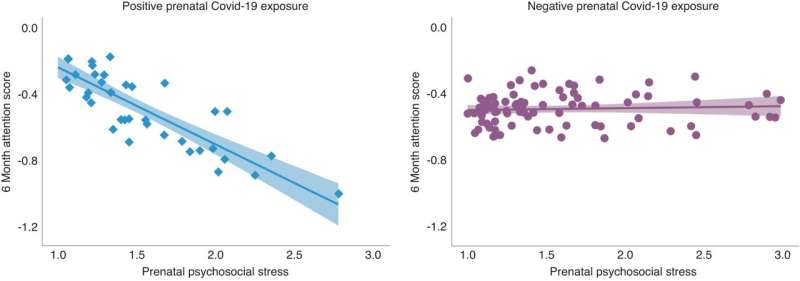 Combined, high maternal stress and prenatal COVID-19 infection may affect attention span in infants