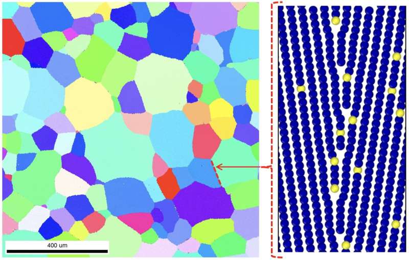 Combining atomistic simulations and machine learning to predict grain boundary segregation in magnesium alloys