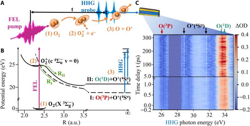 Combining extreme-ultraviolet light sources to resolve a quantum mechanical dissociation mechanism in oxygen molecules