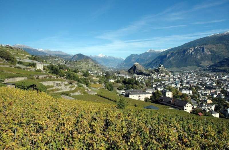 Come pests, frost or fire: How the Swiss are arming their wines against climate change