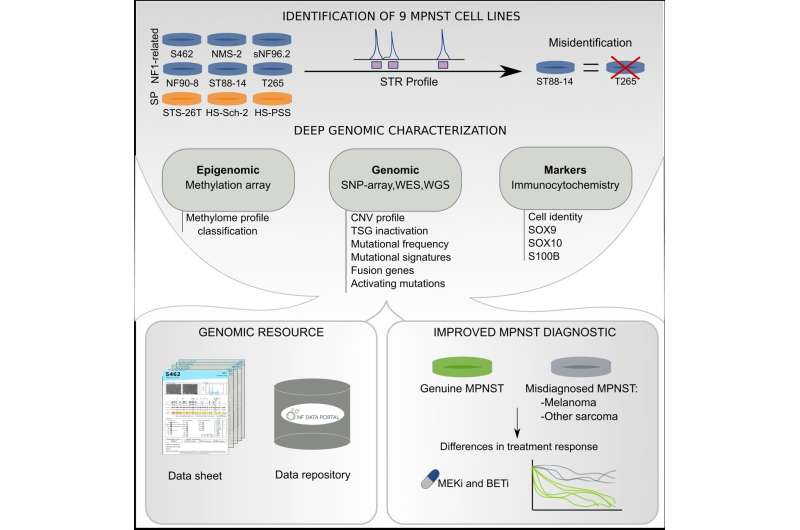 Comprehensive genomic characterisation of malignant peripheral nerve tumour-derived lines challenges current diagnostic criteria