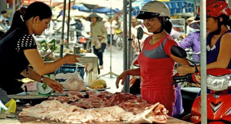 Comprehensive new report tackles food safety risks in the informal sector of developing countries