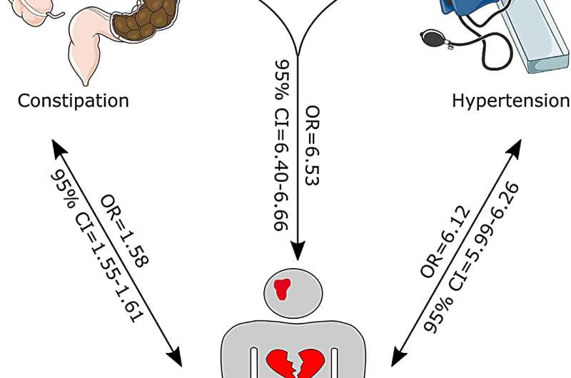 Constipation associated with increased risk of hypertension, cardiovascular events in elderly Australian patients