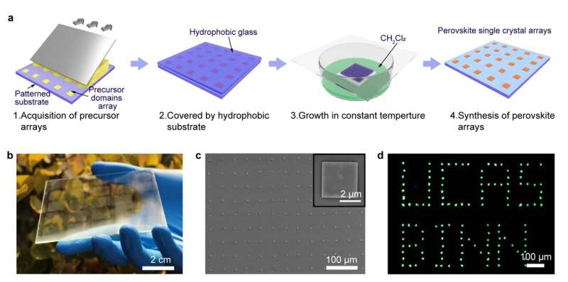Controlled on-chip fabrication of large-scale perovskite single crystal arrays for high-performance laser and photodetector inte