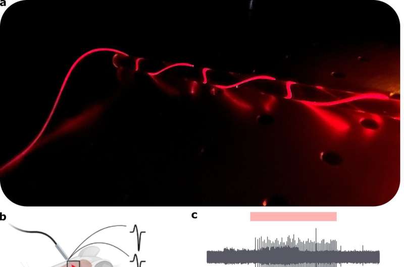 Controlling and recording brain activity with infrared flexible optoelectronic fibres