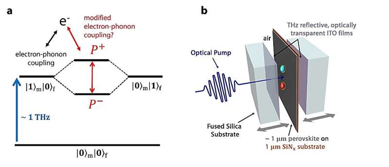 Controlling the electro-optic response of a perovskite coupled to a phonon-resonant cavity