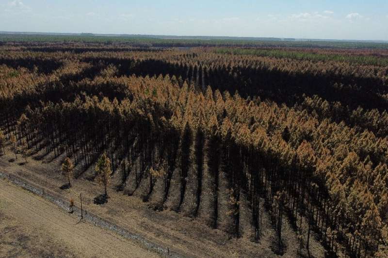 Conventional, tree-planting carbon dioxide removal must double by 2050 to keep the 1.5C target in play, and increase by 50 perce
