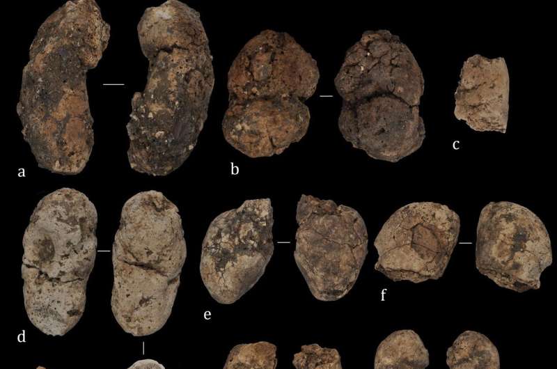 Coprolites identify oldest bearded vulture nest in the Paleolithic Iberian Peninsula