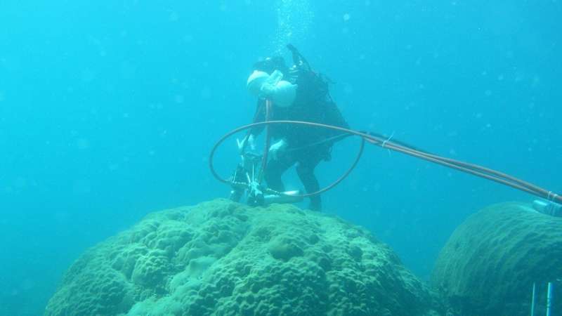 Coral Chemistry Reflects Southeast Asia's Economic Expansion