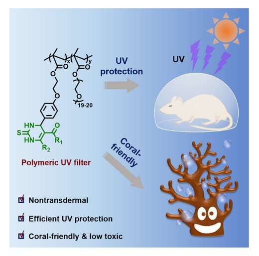 Coral-friendly sunscreen provides better UV protection than existing options