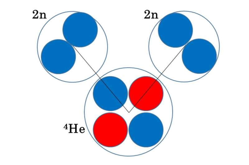 Correlation between neutron pairs observed in helium-8 nuclei