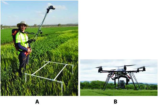 Counting heads: How deep learning can simplify tedious agricultural tasks