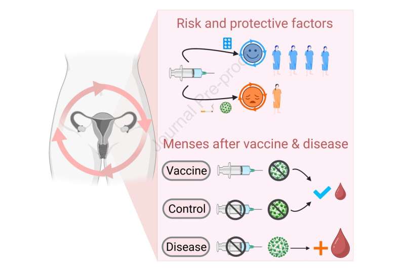 COVID-19 vaccine not linked with period disruption, study finds