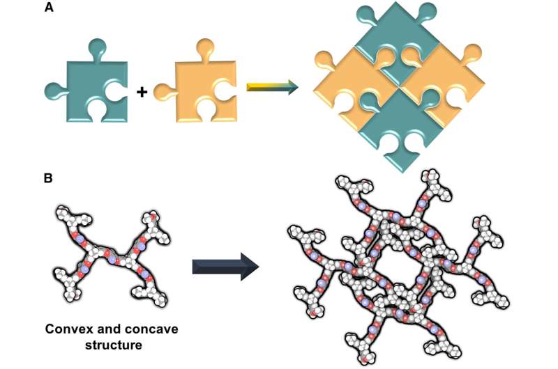 Building molecular puzzles: A strategic approach to developing stable porous molecular crystals