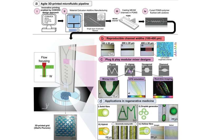 Creating artificially engineered organs could become quicker and easier with 3D bioprinting