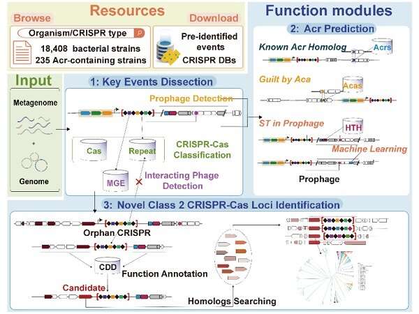 CRISPR Tool with Big Data Visualization Platform Developed for Genome Editing and Modification