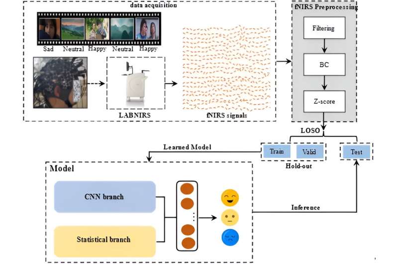 Cross-subject emotion recognition brain-computer interface based on fNIRS and DBJNet