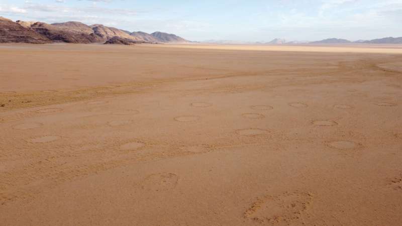 CSIC contributes to deciphering the enigmatic global distribution of fairy circles