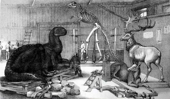 Culprit behind destruction of New York’s first dinosaur museum revealed