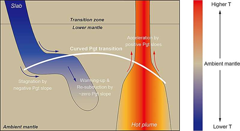 Curved post-garnet phase boundary may explain puzzled subducting slabs and upwelling plumes