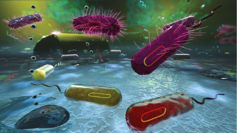Cutting the odds of drug-resistant pathogens emerging in wastewater